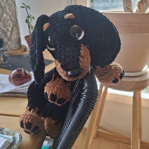 Manuel hat ein Foto des gekauften Artikels hinzugefügt
