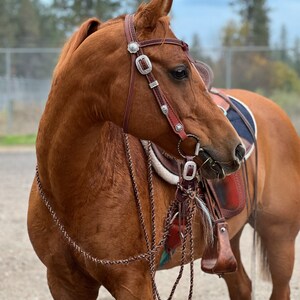 22' Mecate W Slobber Straps.. Choose Between.. Teardrop, Fold Over