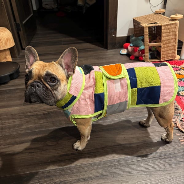 Dog Quilted Coat, Raincoat Sewing Pattern (PDF Download) • Sizes XS-3XL ...