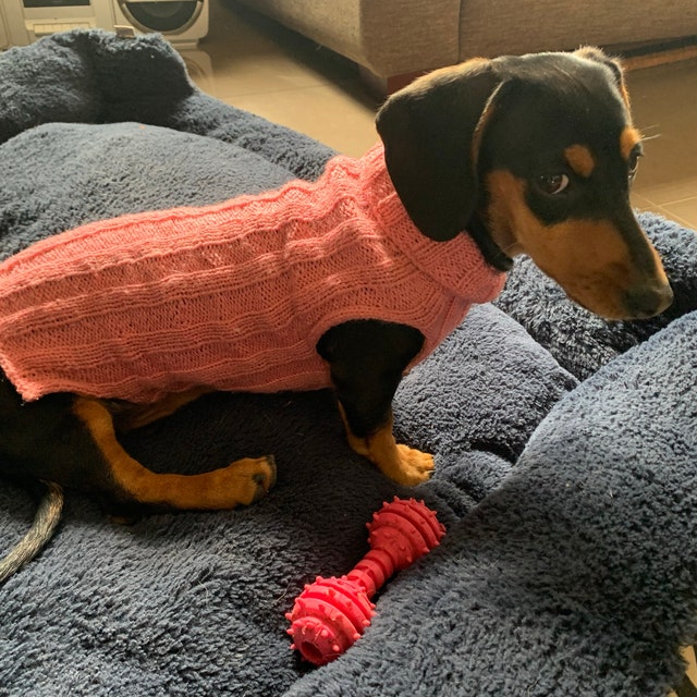 Knitting pattern for miniature dachshund jumper hot sale