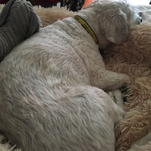 Lucy added a photo of their purchase