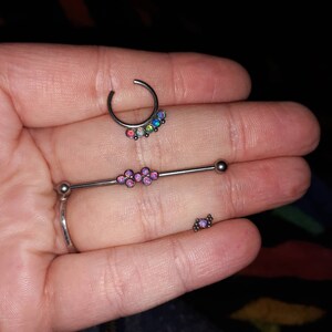 septum daith
