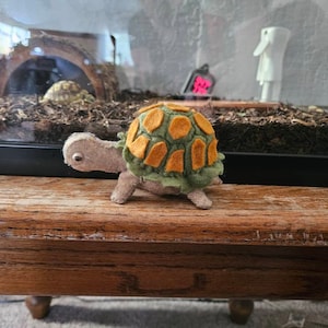 Erin added a photo of their purchase