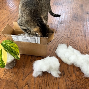 Blythe a ajouté une photo de son achat
