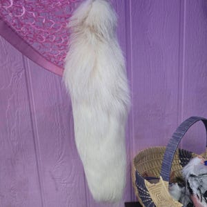 Ginger ha aggiunto una foto del proprio acquisto