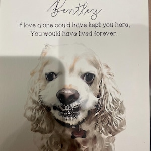 Jenny added a photo of their purchase