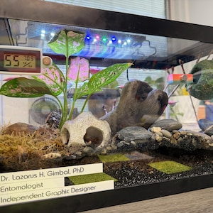 Izzi added a photo of their purchase