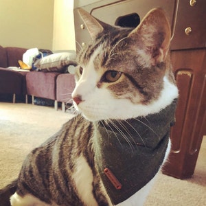 Ryan heeft een foto van zijn/haar aankoop toegevoegd