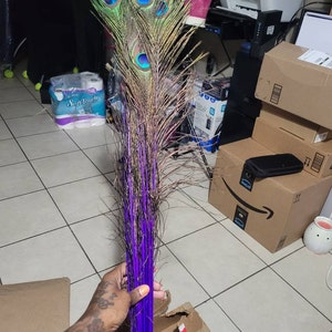 Janay added a photo of their purchase