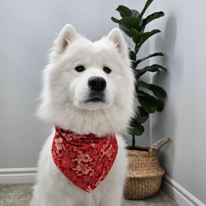 Kalissa added a photo of their purchase