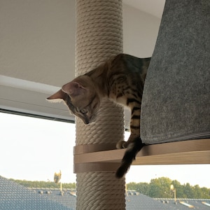 Sonja added a photo of their purchase