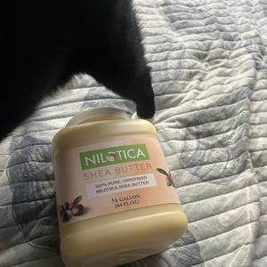 Ani added a photo of their purchase