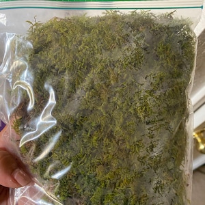 Sky ha añadido una foto de su compra