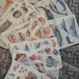 Alana added a photo of their purchase