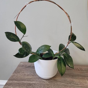 Sara added a photo of their purchase