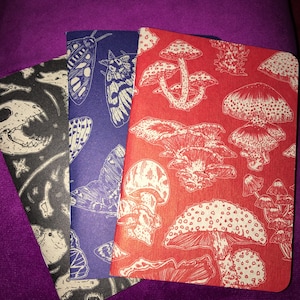 Emma added a photo of their purchase