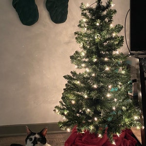 Ashley added a photo of their purchase
