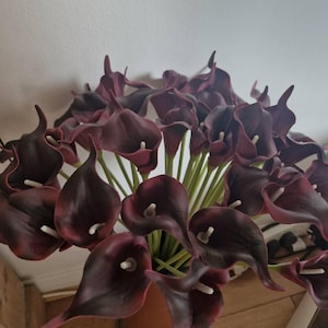 Philippa added a photo of their purchase