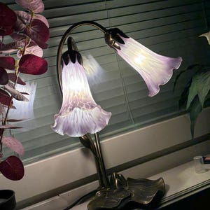 ronja added a photo of their purchase