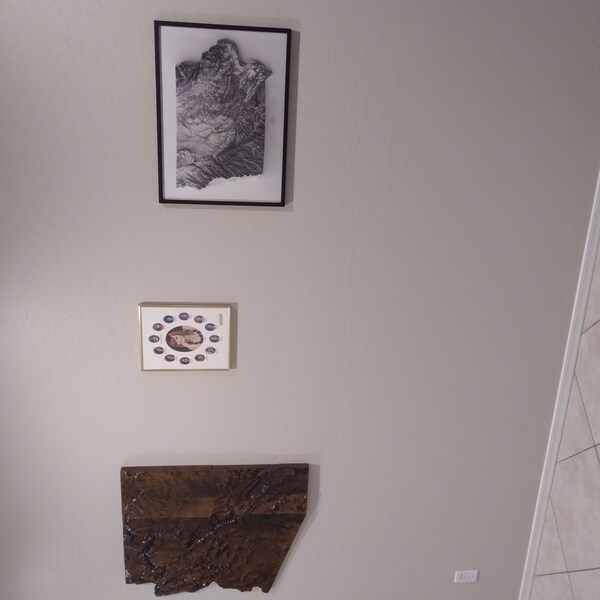 United States Elevation Map Topographical - Iap 600x600.5896239260 Pa2dhze0 