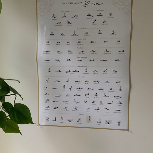 Yin Yoga Poses Poster - Yoga Poses Poster Illustrations With Names