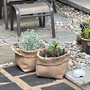 Bethanie added a photo of their purchase