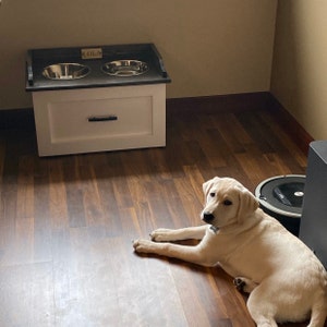 retriever feeding station