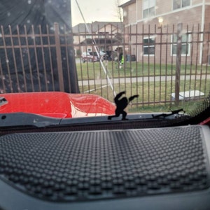 Jeannie added a photo of their purchase