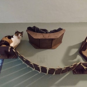Stephan added a photo of their purchase