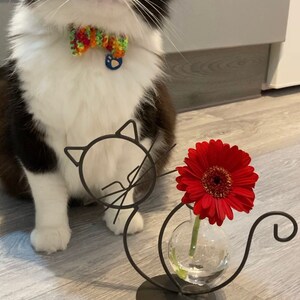 Inactive account added a photo of their purchase