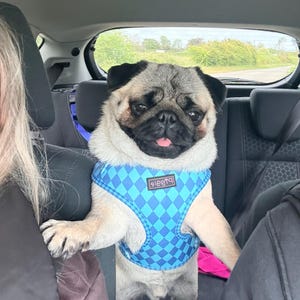 Jenny added a photo of their purchase