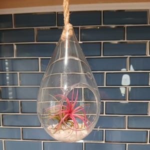 Donna added a photo of their purchase