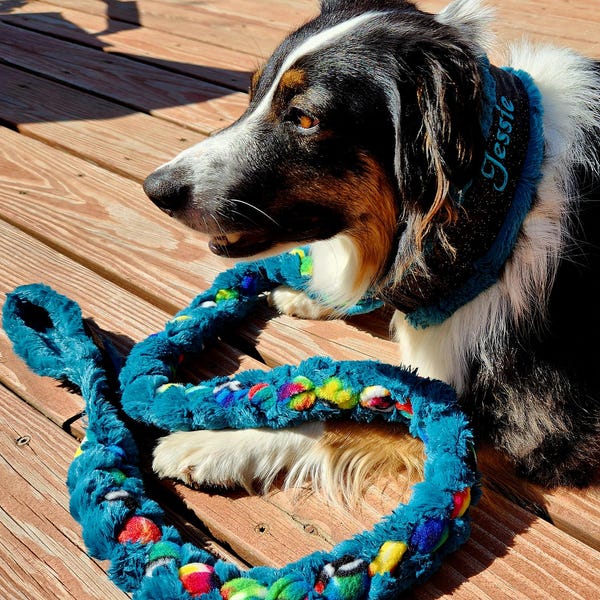 Custom Ribbon Display, Dog Award Ribbon Display Rack, Dog Rosette ...