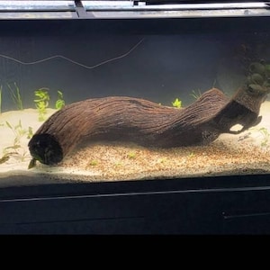Kei added a photo of their purchase