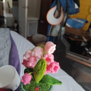 Alexa hat ein Foto des gekauften Artikels hinzugefügt