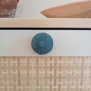 Tania added a photo of their purchase