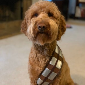 chewbacca dog belt