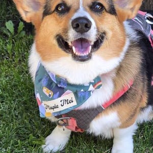 Cora added a photo of their purchase