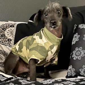 Kelly heeft een foto van zijn/haar aankoop toegevoegd