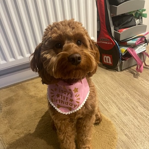 Kirsty added a photo of their purchase