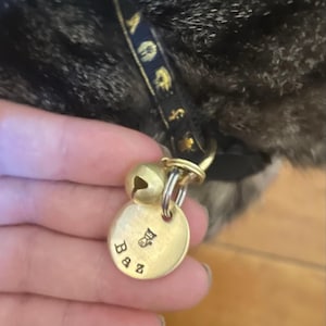 Meg ha aggiunto una foto del proprio acquisto