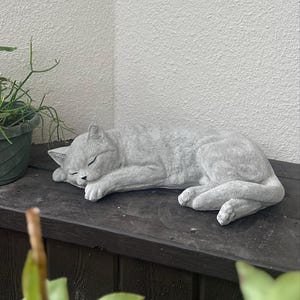 nikkiflowers added a photo of their purchase