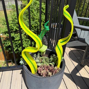 Cristi ha añadido una foto de su compra