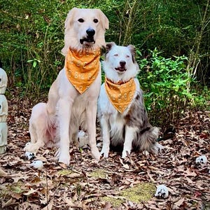 Sally added a photo of their purchase