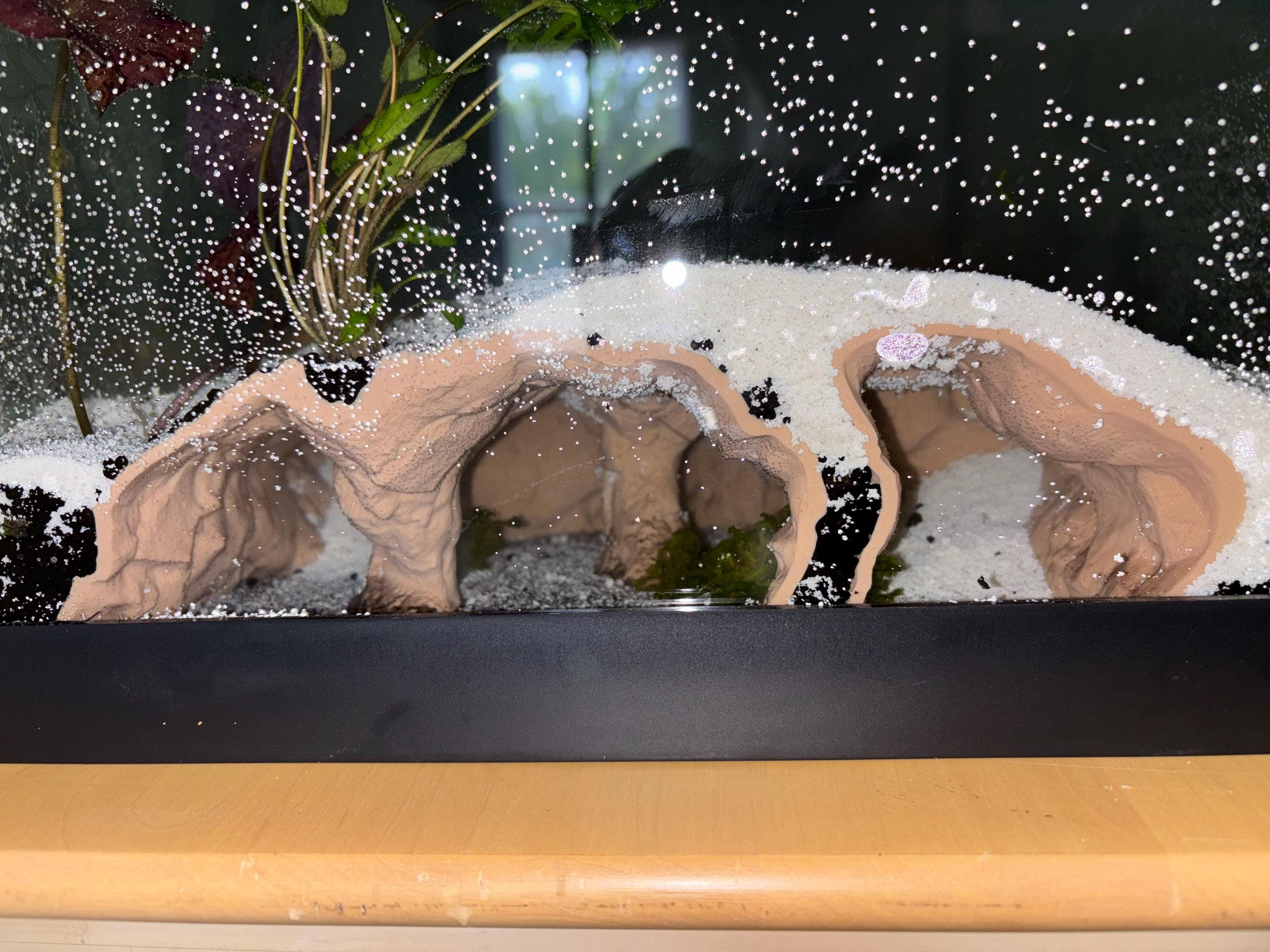 Atlantis Hidden Observation Cave | Aquarium & Terrarium Decor | Natural Hide for Fish, Plecos, Shrimp, Beetles or Reptiles