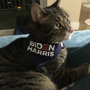 Shari ha añadido una foto de su compra
