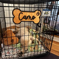 Personalized Dog Name Plate, Kennel Name Sign, Dog Crate Name Plaque ...
