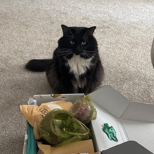 Jessica a ajouté une photo de son achat