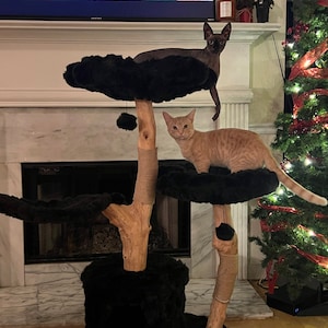 Abriana added a photo of their purchase