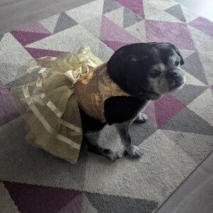 Jess added a photo of their purchase